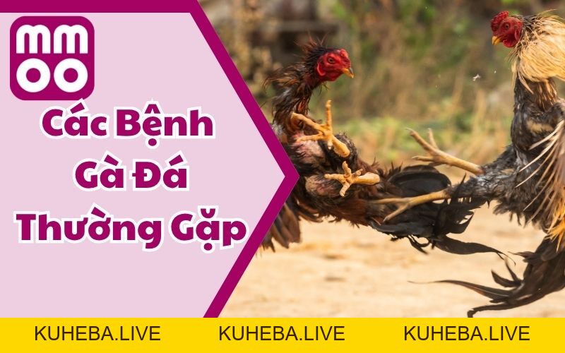 Kiến Thức - MMOO Kiến Thức - MMOO