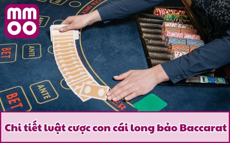 Làm Chủ Long Bảo Baccarat Cùng MMOO | Cập Nhật 2026 Làm Chủ Long Bảo Baccarat Cùng MMOO | Cập Nhật 2026