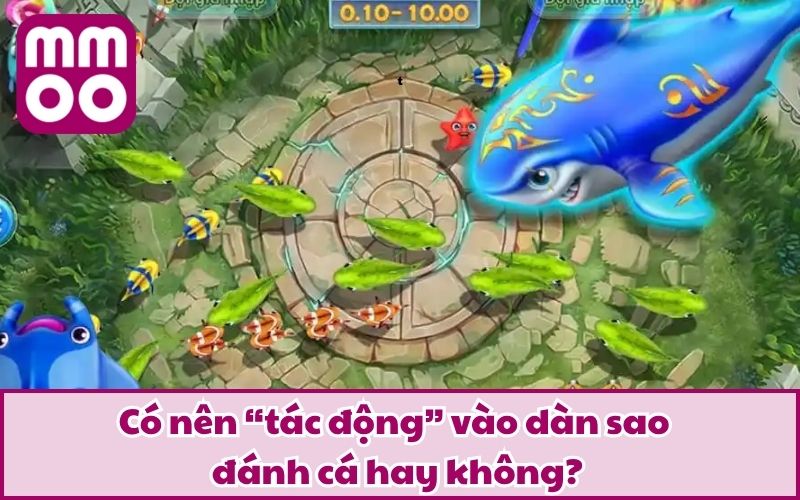 Hack Dàn Sao Đánh Cá Là Gì? Thủ Thuật Được Chú Ý Nhất 2026? Hack Dàn Sao Đánh Cá Là Gì? Thủ Thuật Được Chú Ý Nhất 2026?