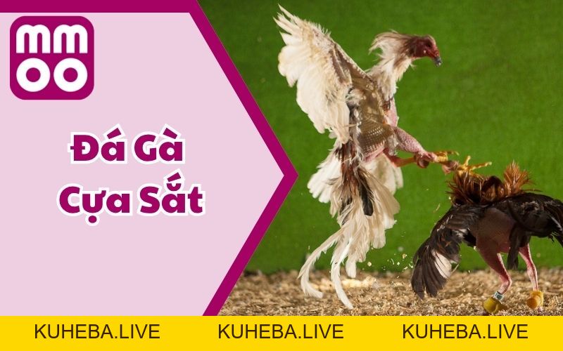 Kiến Thức - MMOO Kiến Thức - MMOO