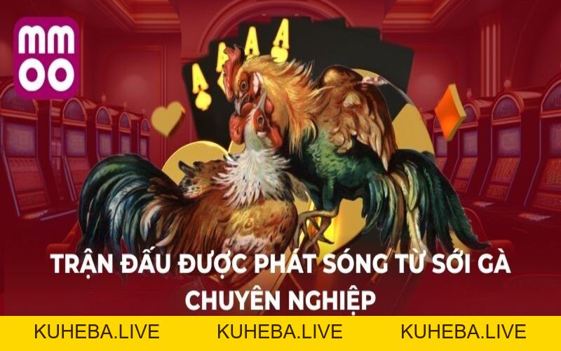 MMOO | Trang Chủ MMOO.COM Chính Thức MMOO | Trang Chủ MMOO.COM Chính Thức
