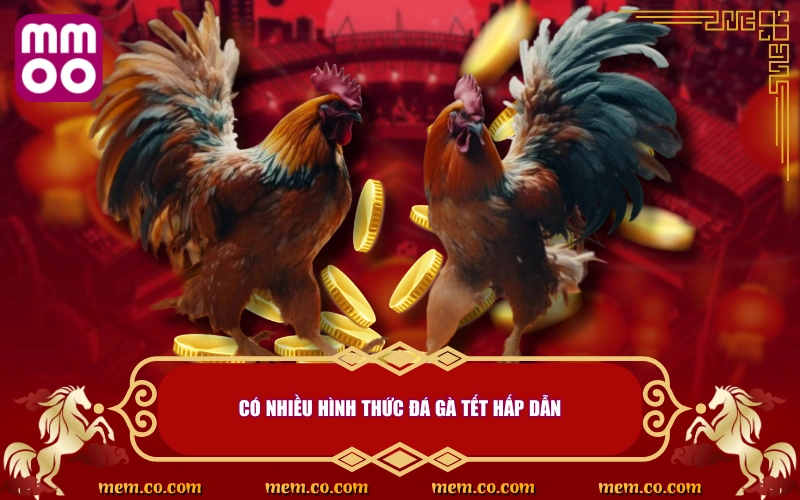 Đá Gà Tết Thử Vận May, Săn Lộc Cực Khủng Ngày Đầu Năm Đá Gà Tết Thử Vận May, Săn Lộc Cực Khủng Ngày Đầu Năm