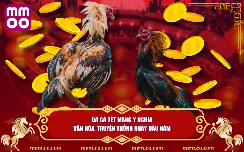 Đá Gà Tết Thử Vận May, Săn Lộc Cực Khủng Ngày Đầu Năm Đá Gà Tết Thử Vận May, Săn Lộc Cực Khủng Ngày Đầu Năm