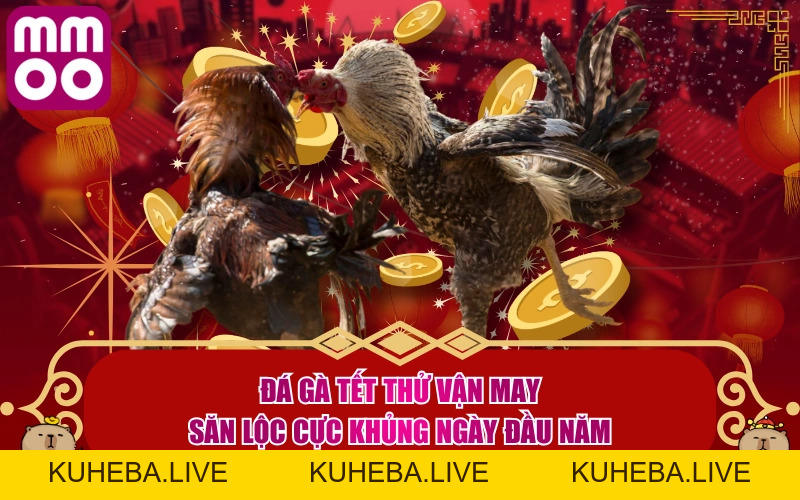 Kiến Thức - MMOO Kiến Thức - MMOO