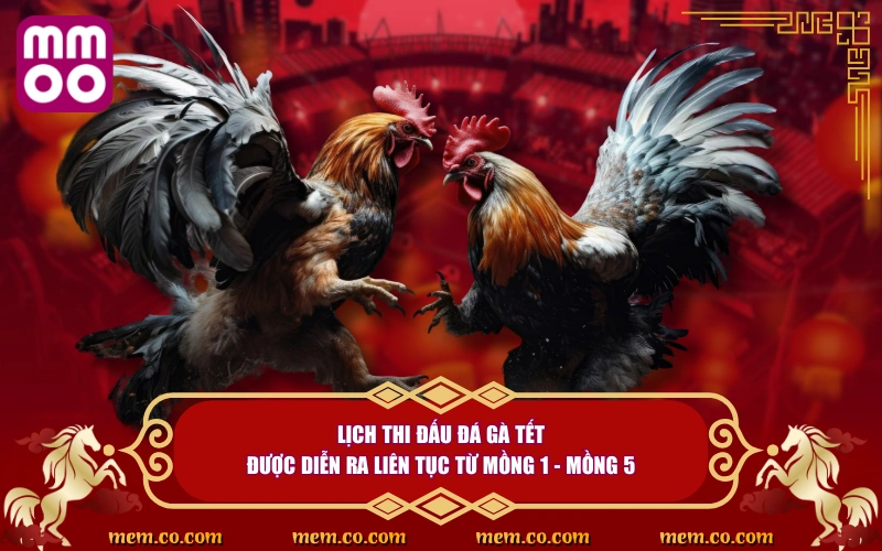 Đá Gà Tết Thử Vận May, Săn Lộc Cực Khủng Ngày Đầu Năm Đá Gà Tết Thử Vận May, Săn Lộc Cực Khủng Ngày Đầu Năm