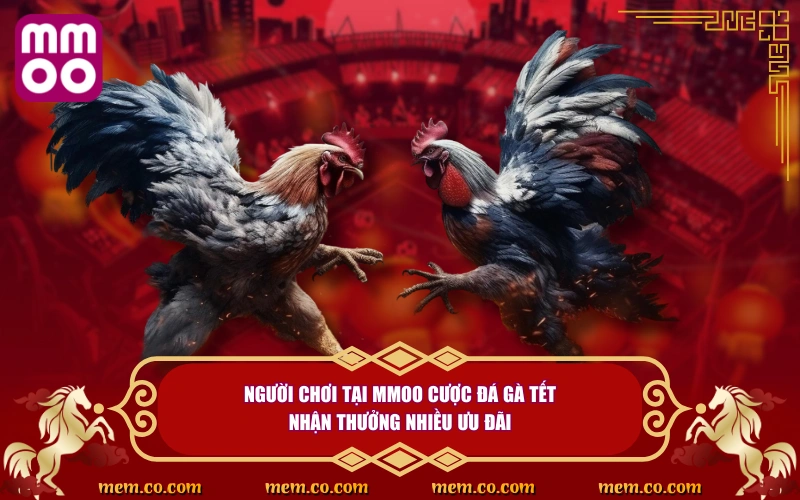 Đá Gà Tết Thử Vận May, Săn Lộc Cực Khủng Ngày Đầu Năm Đá Gà Tết Thử Vận May, Săn Lộc Cực Khủng Ngày Đầu Năm